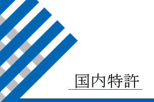国内特許