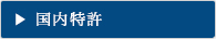 国内特許