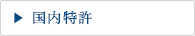 国内特許
